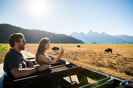 Sunset Grand Teton Wildlife Adventure