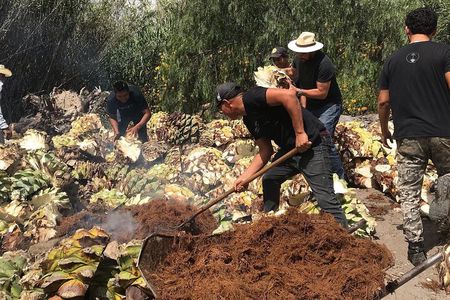 Mezcal Tour Oaxaca