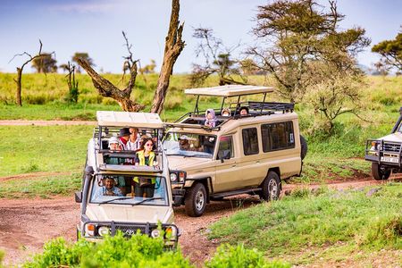 5 Days Private Safari Tour & Maasai village Visit Tanzania