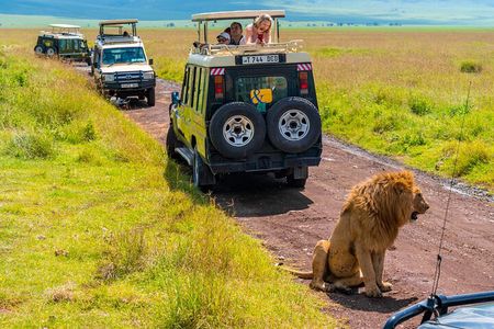 3 days Luxury Safari Tour in Tanzania