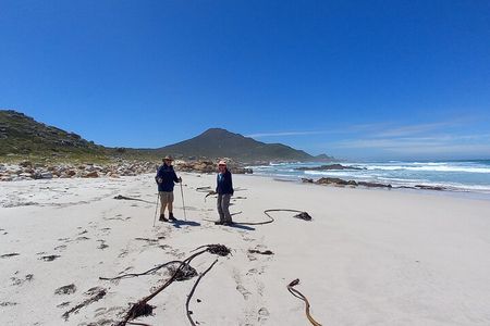 Hiking Cape of Good hope, Cape Point & Penguins Private Full Day