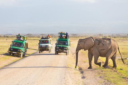 3-Day Safari to Serengeti, Ngorongoro and 1-Day Kilimanjaro Hike