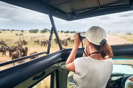 4 Days Private Lodge Safari Tour Tanzania