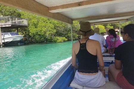 Mangrove Tunnel, Garifuna village,food tasting,wildlife encounter
