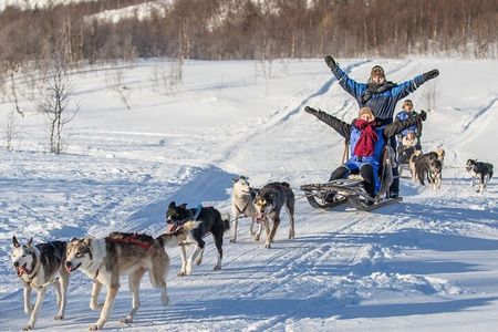 Advanced Dog Sledding at Camp Tamok