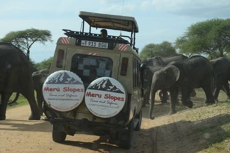 Tarangire National Park Private Day Tour