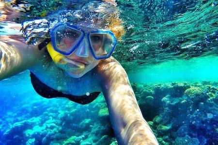 Gulf of Aqaba Snorkeling Tours