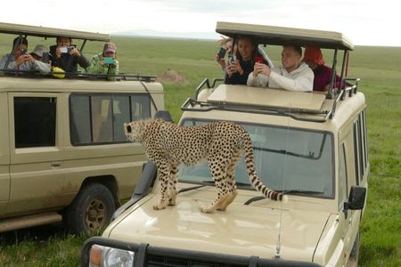 Private 4 Days Safari in Tarangire, Serengeti and Ngorongoro