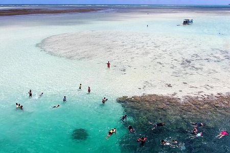 Kaneohe Sandbar Snorkeling Tour - 2nd Tour