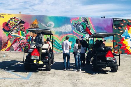 Wynwood Graffiti Golf Cart Small-Group Tour