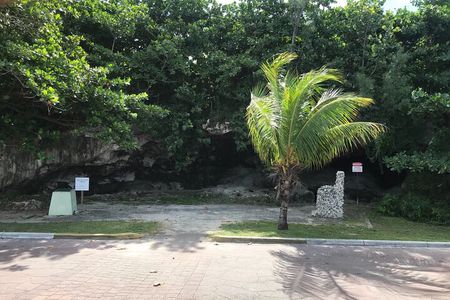 Swim with the Pigs and Explore Caves in Nassau