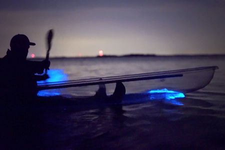 Clear Kayak Bioluminescence Tour - Cocoa Beach