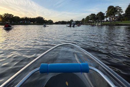 Clear Kayak Tour of Tarpon Springs | Manatee Season