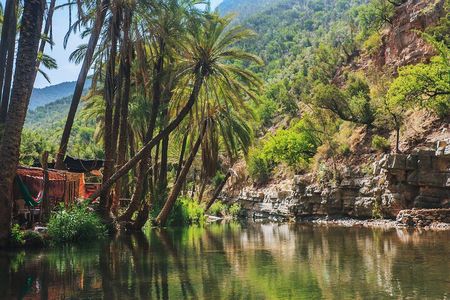 Agadir or Taghazout: Paradise Valley Atlas Mountain Swimming Trip