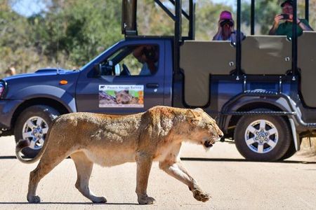Private Full Day Safari l Kruger National Park from Hazyview or Skukuza