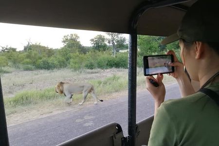 Private Morning Game Drive from Hazyview l Kruger National Park