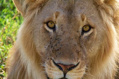 2-Day Private Guided Tour to Tarangire and Ngorongoro