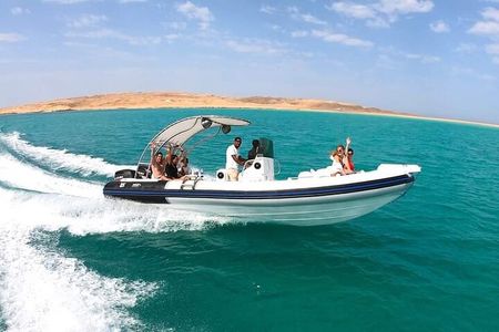 4-Hour Swim with Dolphins in a Private Speedboat in Hurghada