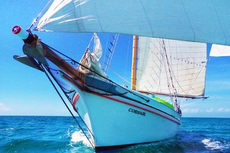 Sunset & Champagne Cruise on a Classic Schooner with boat dogs