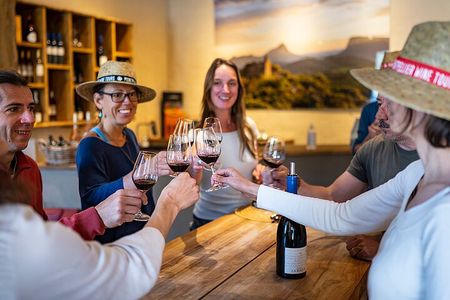 Small-Group Half-Day Languedoc Pic Saint-Loup Wine Tour from Montpellier