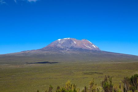 Full Day Mt Kilimanjaro to Shira Plateau Hiking Tour