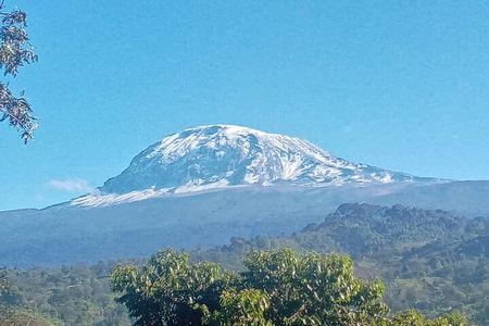 5 Days Marangu Route Kilimanjaro Trekking