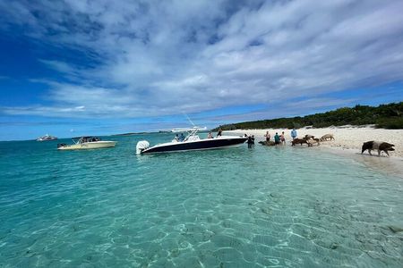 Boat Charters & Excursions 