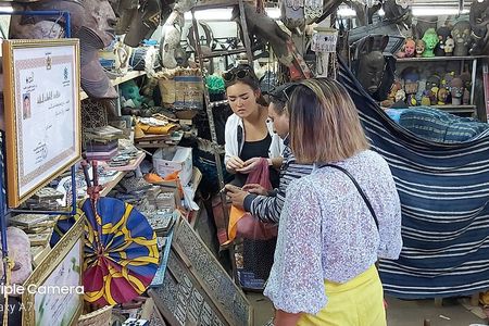 Shared Sightseeing Tour Visit to Marrakech with Licensed Guide