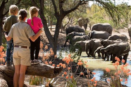 Nyerere ( Selous) National park,game drive, walking safari, & boat