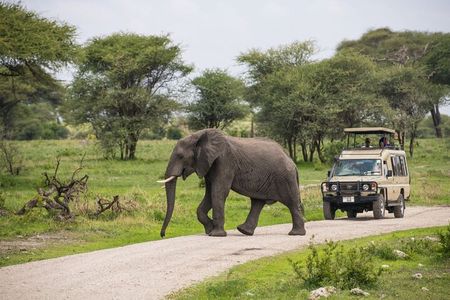 2 Days Ruaha National park