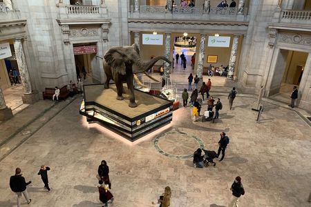 Smithsonian National Museum of Natural History with Guided Tour