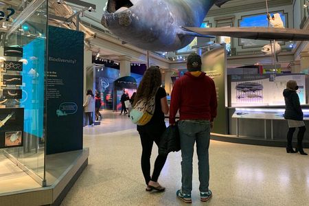 Smithsonian Museum of Natural History Guided Tour 