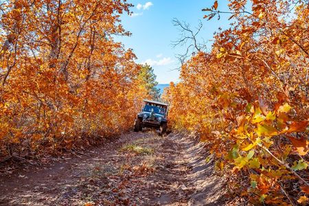 East Zion Brushy Cove Jeep Tour