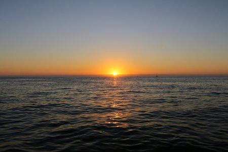 Sunset & Dolphin Tour