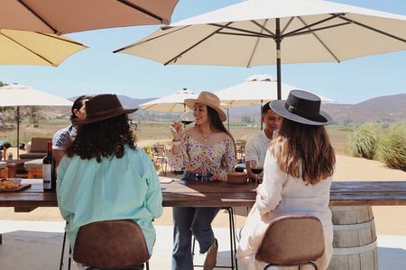 Tasting of 5 wines and tour at the winery Rondo del Valle