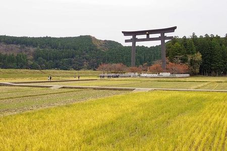 Kumanokodo 2 Day Walking Tour from Osaka