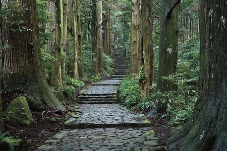 Kumanokodo 2 Day Walking Tour from Osaka