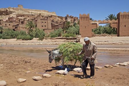 6 days tour from Casablanca to Marrakech via imperiale cities And Sahara Desert