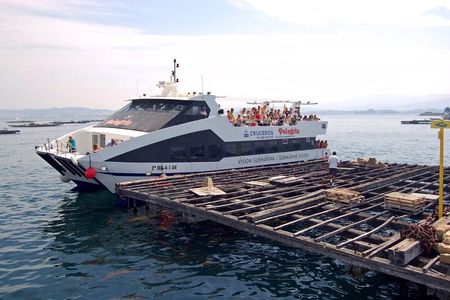 Rias Baixas Tour with Winery and Boat (optional)