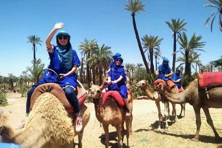 Camel Ride in the Palm Grove of Marrakech