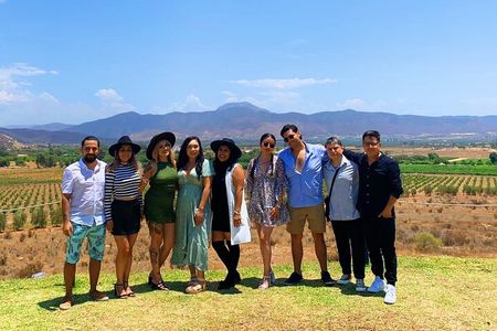 Valle de Guadalupe private tour, in a group is better! (since 10 to 19 persons).