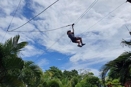  Zipp Line + Animal Sanctuary +ATVs city walk + Rum & Chocolate Factory