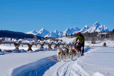Jackson Hole Full-Day Dog Sledding and Snowmobiling Combo Trip 