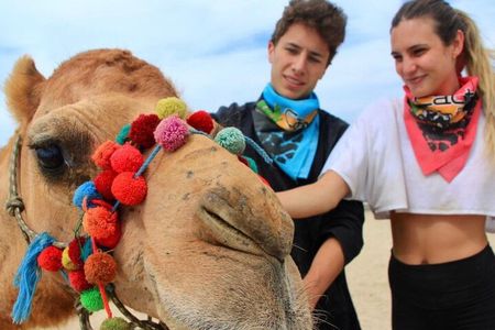 ATV and Camel Ride COMBO Adventure 