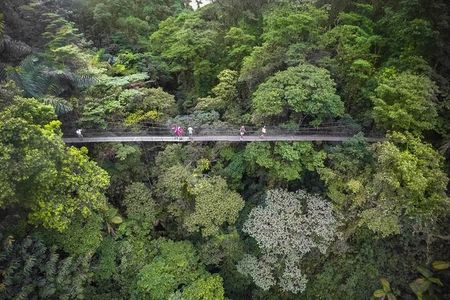 2-in-1 Arenal Hanging Bridges + La Fortuna Waterfall
