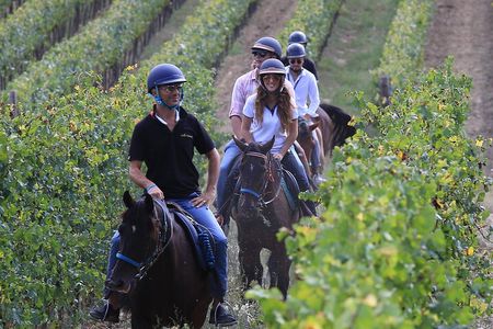 Horseback Riding with Wine Tour from Florence