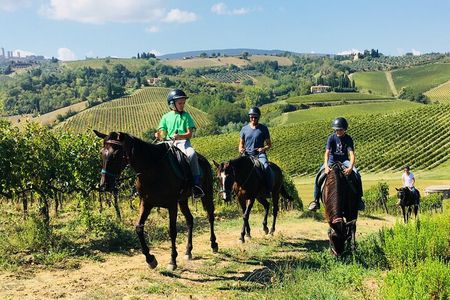 Tuscany Horseback Riding & Wine Tour Small Group Experience