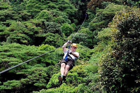 3-in-1 Monteverde Cloud Forest Hanging Bridges, Ziplining and Butterfly Garden