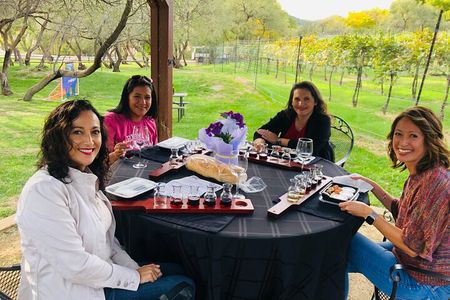 Vortex to Vineyards by ABC wildlife host Rachel Reenstra 