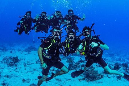 Fun dives Cozumel south marine park